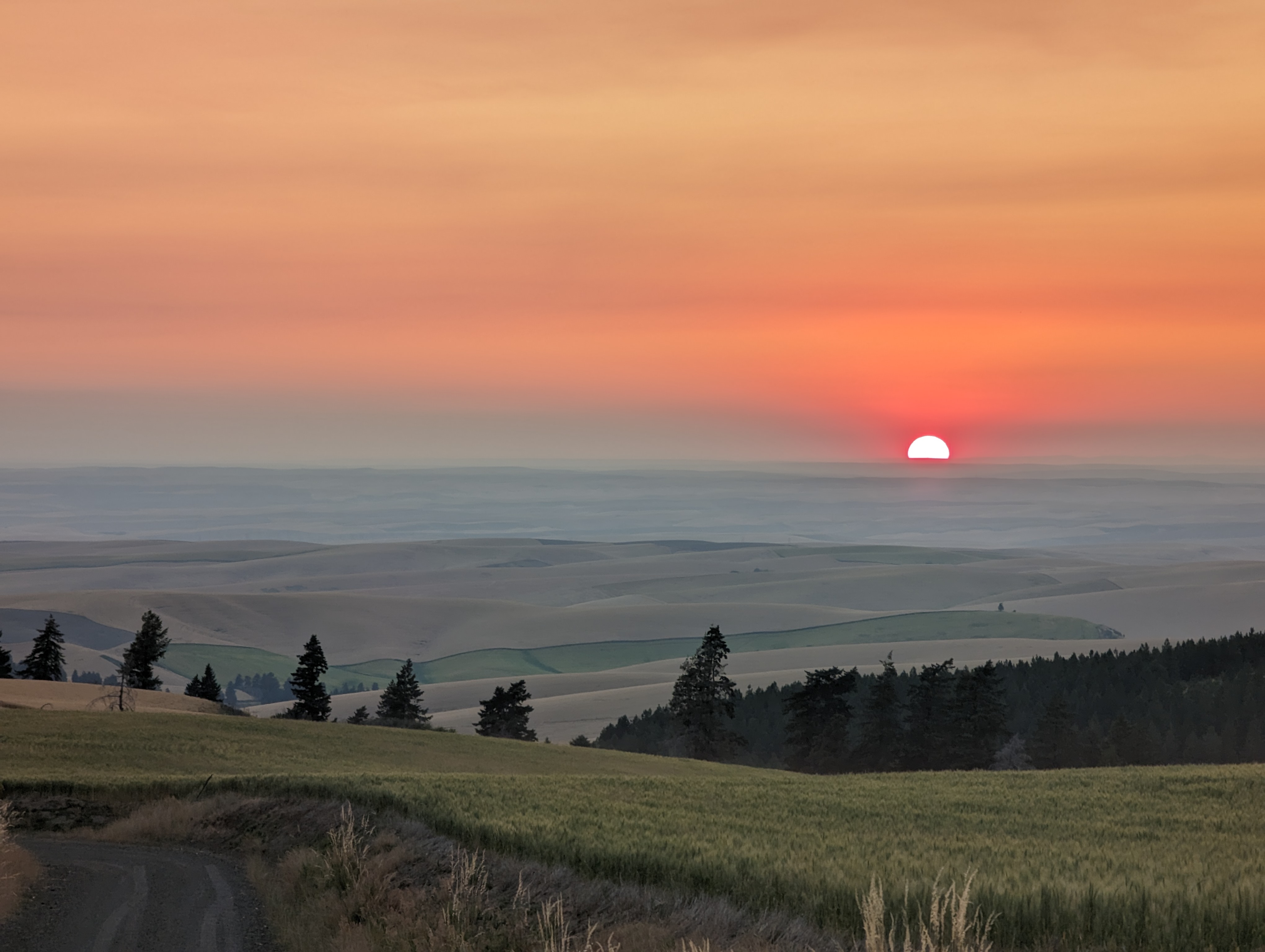 270° Walla Walla Valley View in 46.111°, -118.077° — Land for Rent / Lease on Land Share Network