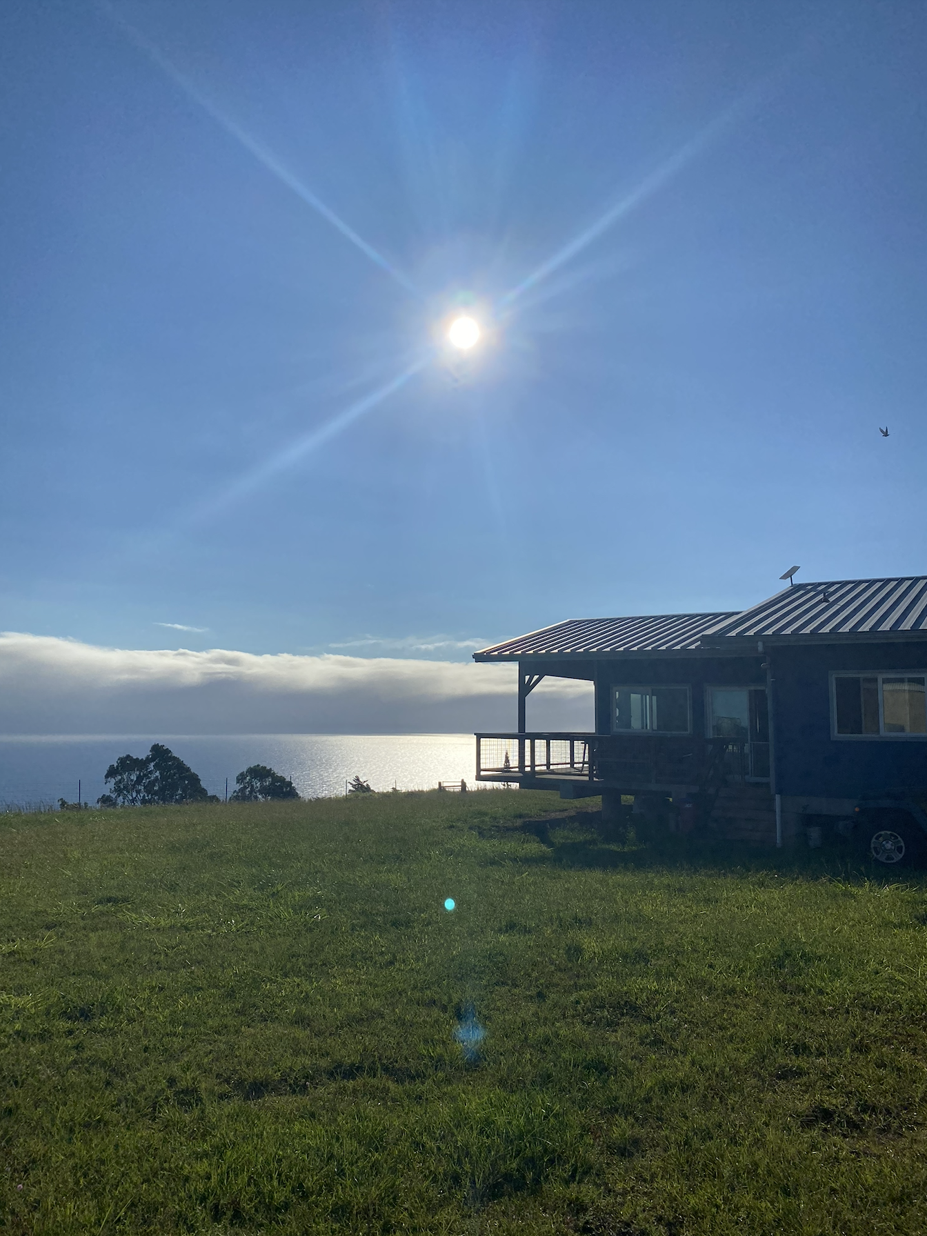 Rent an Acre of Pristine Hamakua Coast Land in 19.985°, -155.233° — Land for Rent / Lease on Land Share Network