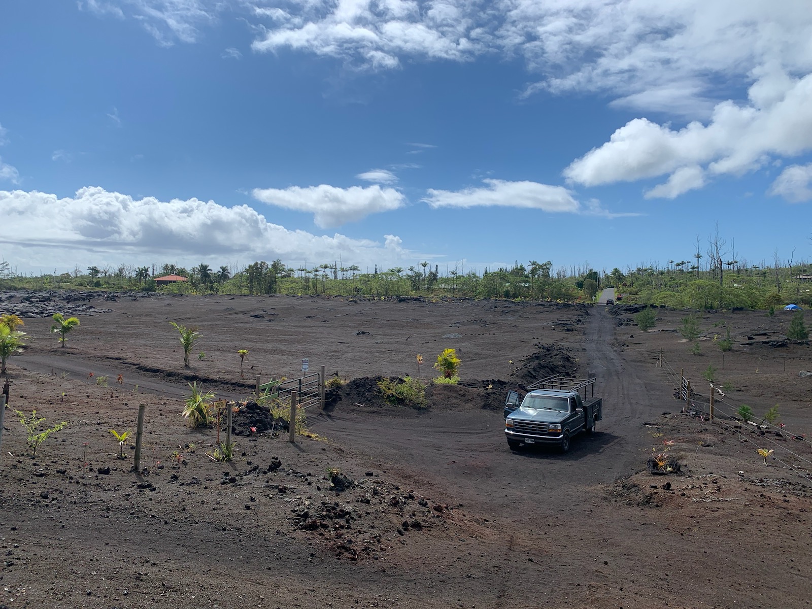 Fissure 8 in 19.460°, -154.909° — Land for Rent / Lease on Land Share Network