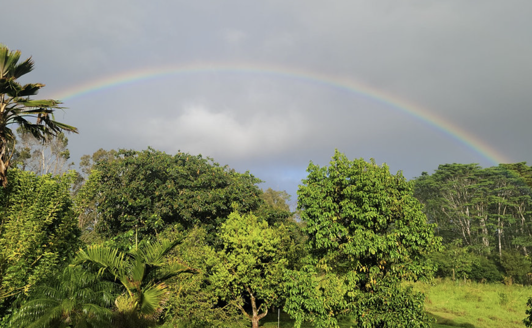 Kaohe Homesteads in 19.487°, -154.944° — Land for Rent / Lease on Land Share Network