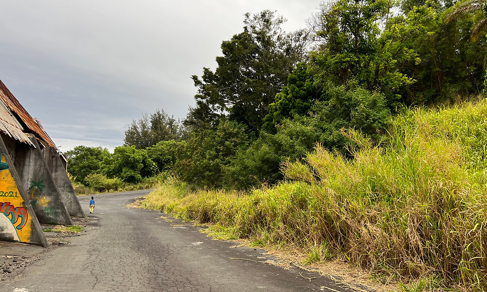 Honokaa Sugar Mill Sites in 20.083°, -155.458° — Land for Rent / Lease on Land Share Network