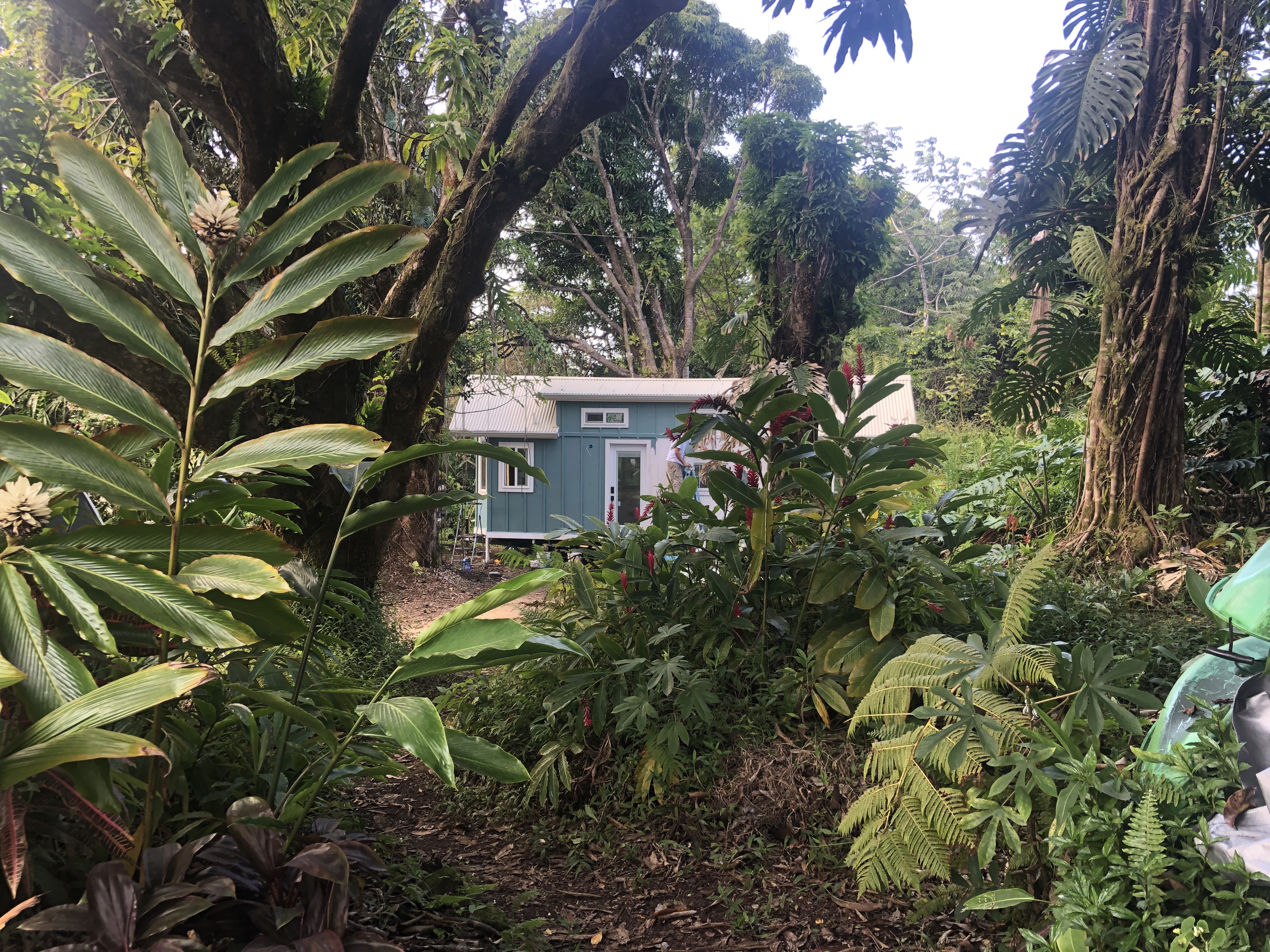 Mango Grove Tiny Park in 19.568°, -154.963° — Land for Rent / Lease on Land Share Network