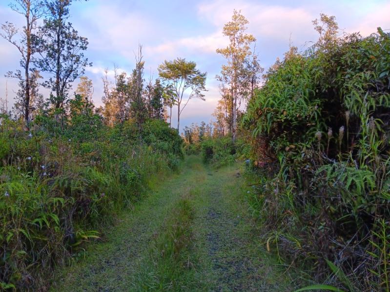 Bighi in Hawaiʻi County, Hawaii, United States — Land for Rent / Lease on Land Share Network