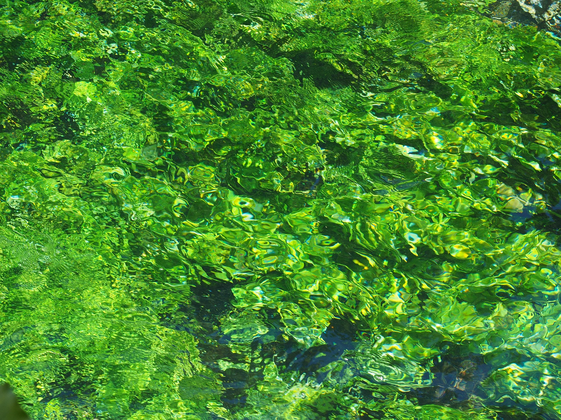 Davud in Beykoz, Türkiye — Member on Land Share Network